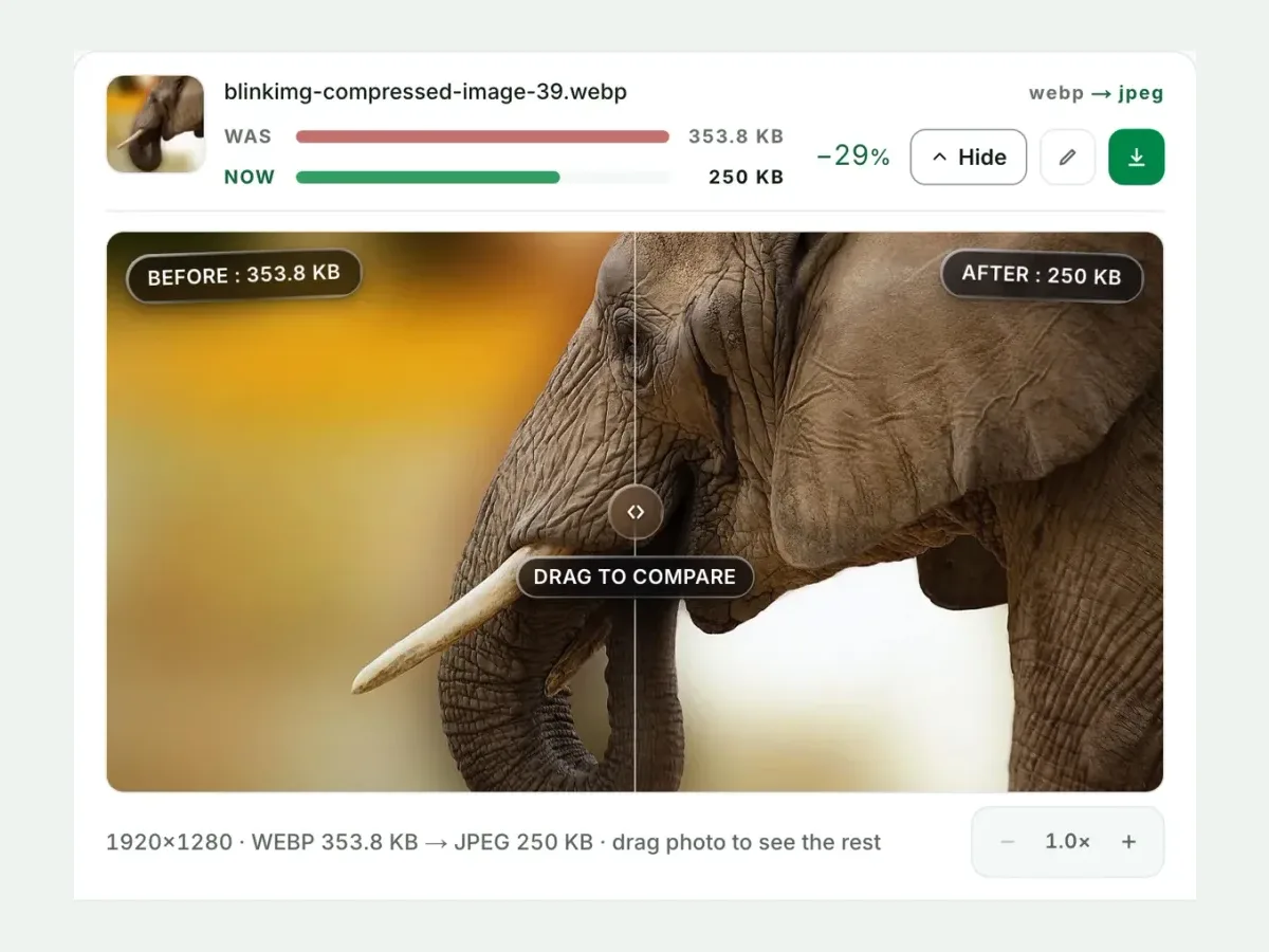 A WebP beside its JPG in the compare slider, with both sizes
