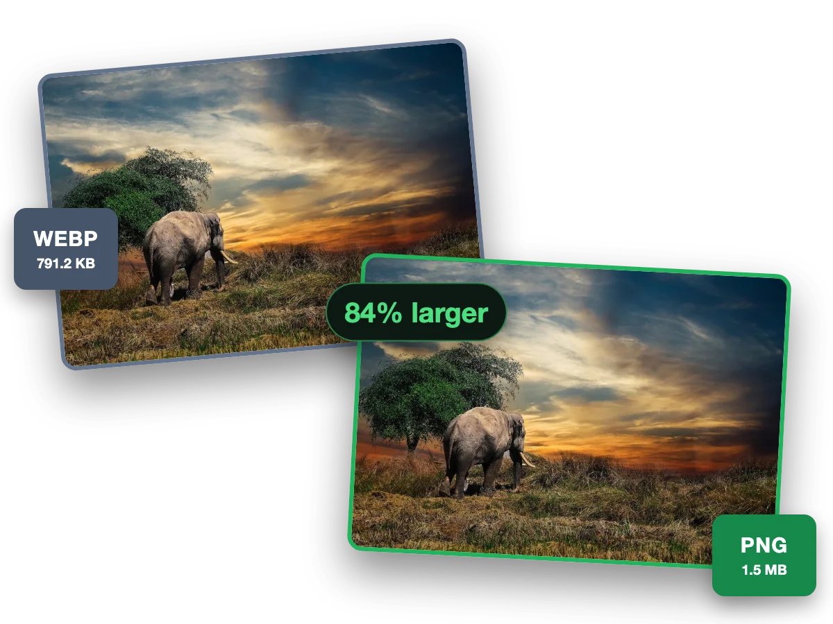 One photo as a 791.2 KB WebP and as a 1.5 MB PNG