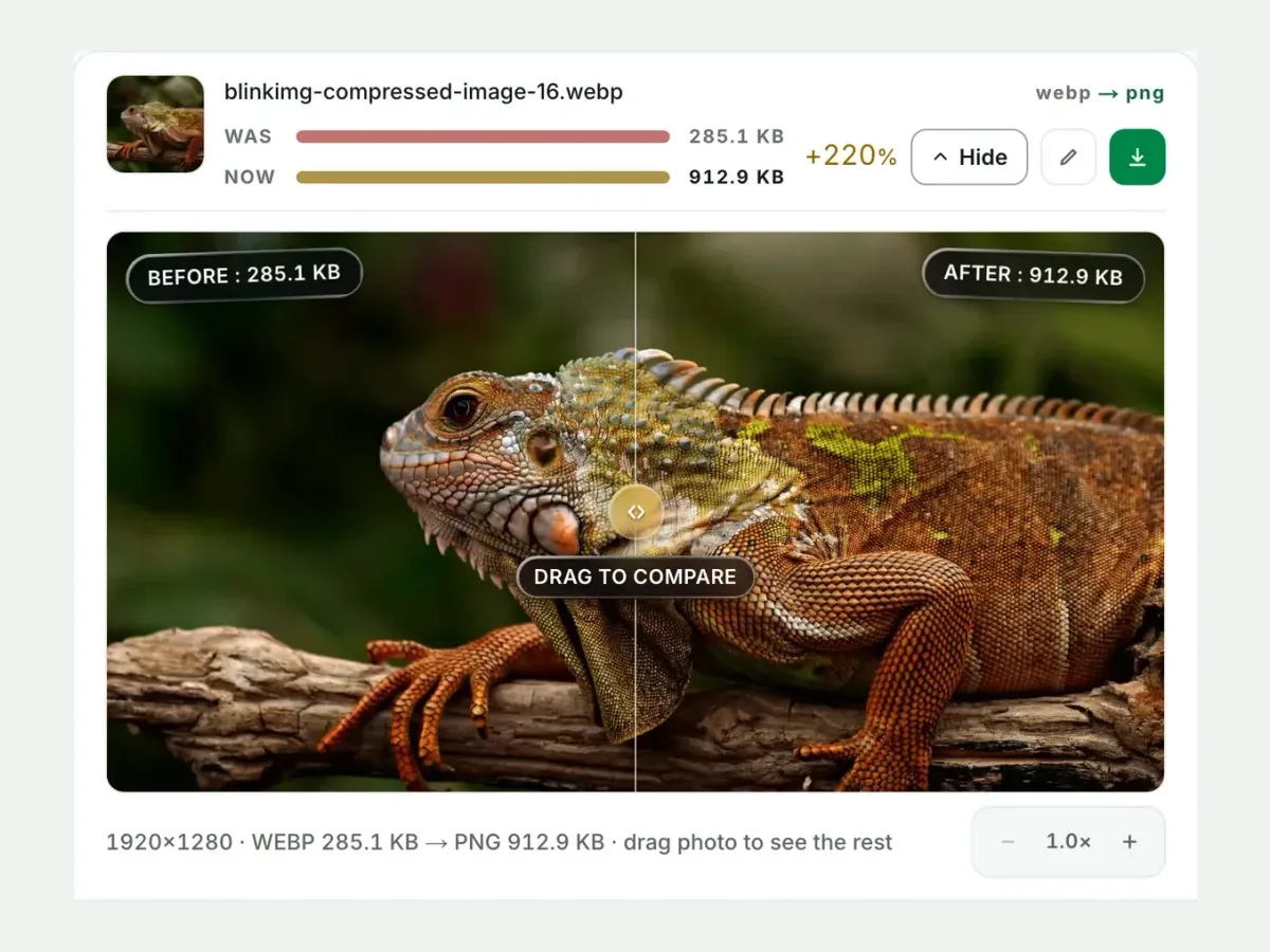 A WebP beside its PNG in the compare slider, with both sizes