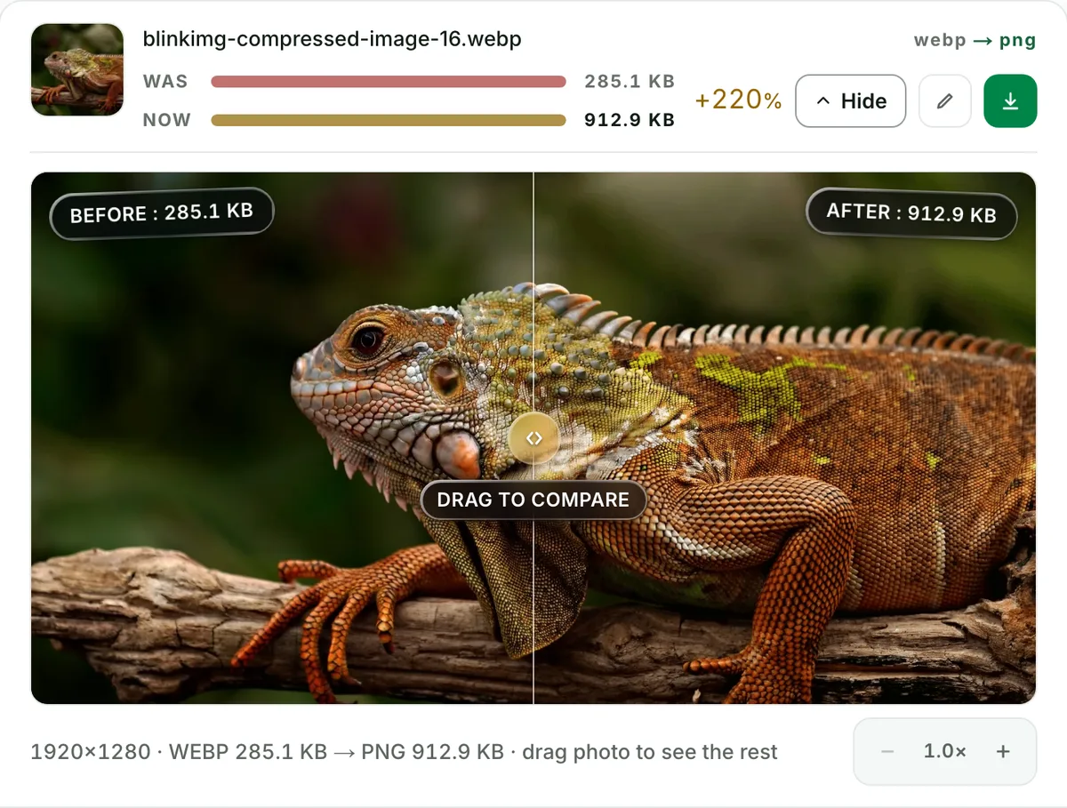 WebP to PNG converter with no change you can see: the real tool on this page
