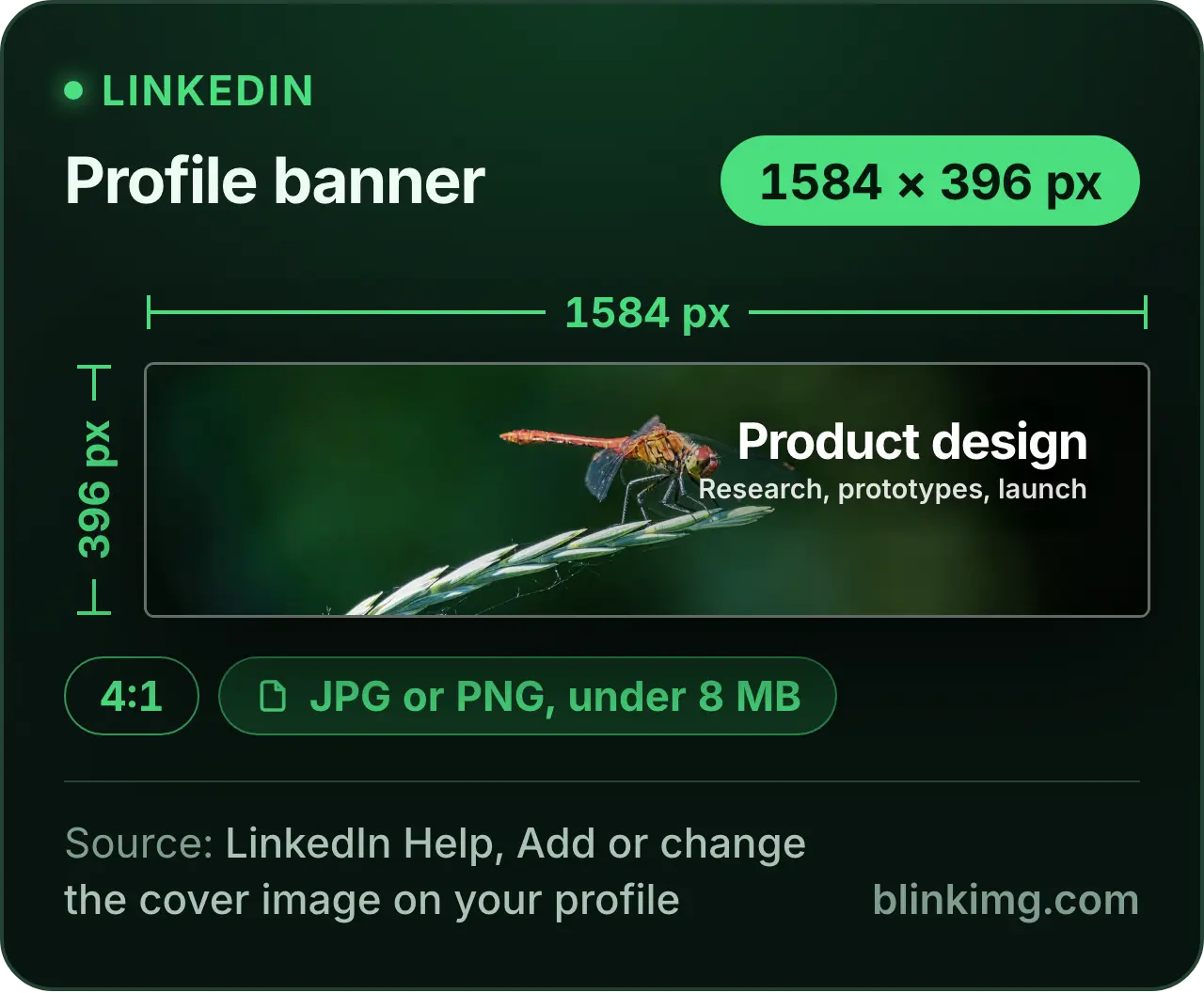 A LinkedIn profile banner drawn at 1584 × 396 pixels, a 4:1 strip, with a dragonfly photo and a headline right of centre. Chips give LinkedIn's rules for the file: JPG or PNG, under 8 MB.
