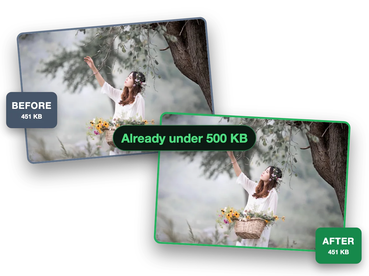 One photo before (451 KB) and after (451 KB) a 500 KB cap